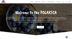 Desktop Screenshot of polarica.pl